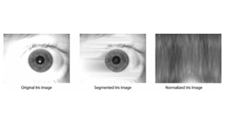 FIGURE 1. Iris on the Move technology from Sarnoff uses an array of 15 frames/s video cameras with 850 nm LED illumination to image the irises of individuals coming within 3 m of the system at a rate of 30 people per minute (top). The system first segments the iris (middle), then remaps the iris image from Cartesian coordinates to polar coordinates in a normalization process (bottom). In the normalized image, increasing radius goes from top to bottom, while increasing angle goes from left to right, allowing the formatted image to be matched against reference irises.