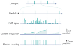 FIGURE 1. In a laser-scanning microscope, data can be gathered either by current integration or by photon counting. Each line (row of pixels) is defined by the line synchronization signal. During the period that a single pixel is scanned (typically a few microseconds defined by the pixel clock), each incident photon will produce a current pulse in the photomultiplier tube (PMT) signal. When the current is integrated, dark events as well as pulse amplitude variation lead to increased noise in the output signal. Alternatively, in photon counting, if the pulses are discriminated (rising above the dotted line), shaped, and then counted, no additional noise is introduced. FIGURE 1. In a laser-scanning microscope, data can be gathered either by current integration or by photon counting. Each line (row of pixels) is defined by the line synchronization signal. During the period that a single pixel is scanned (typically a few microseconds defined by the pixel clock), each incident photon will produce a current pulse in the photomultiplier tube (PMT) signal. When the current is integrated, dark events as well as pulse amplitude variation lead to increased noise in the output signal. Alternatively, in photon counting, if the pulses are discriminated (rising above the dotted line), shaped, and then counted, no additional noise is introduced.