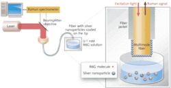 FIGURE 1. The double substrate SERS probe involves a multimode fiber sensor (enlarged at right) with a coating of silver nanoparticles on its tip that react with the target solution. The excitation source is directed through the fiber, while the Raman signal is directed back up through the fiber for detection. FIGURE 1. The double substrate SERS probe involves a multimode fiber sensor (enlarged at right) with a coating of silver nanoparticles on its tip that react with the target solution. The excitation source is directed through the fiber, while the Raman signal is directed back up through the fiber for detection.
