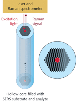 FIGURE 3. A cross-sectional view of the liquid-core photonic-crystal-fiber SERS sensor reveals that the cladding holes of a hollow-core photonic-crystal fiber are sealed at one end and the central hole is open and filled with liquid samples. FIGURE 3. A cross-sectional view of the liquid-core photonic-crystal-fiber SERS sensor reveals that the cladding holes of a hollow-core photonic-crystal fiber are sealed at one end and the central hole is open and filled with liquid samples.