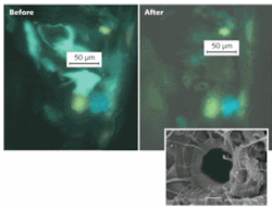 Petroleum trapped in an inclusion in a quartz sample (left) is freed by ultrafast-laser ablation (right). A scanning-electron-microscope image (bottom) shows the extraction crater drilled into the quartz. Petroleum trapped in an inclusion in a quartz sample (left) is freed by ultrafast-laser ablation (right). A scanning-electron-microscope image (bottom) shows the extraction crater drilled into the quartz.