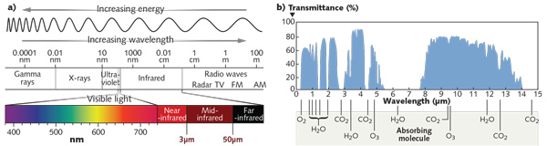 Mid-infrared Spectroscopy/Bioimaging: Moving Toward MIR Optical Biopsy ...