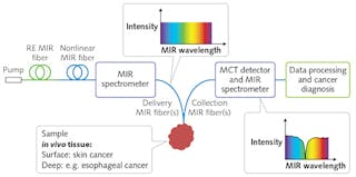 FIGURE 5. The proposed methodology for in vivo MIR spectral bioimaging (that is, MIR optical biopsy) involves a benchtop setup comprising a bright MIR supercontinuum source&mdash;a rare-earth (RE) MIR fiber laser pumping a nonlinear MIR fiber. The light is passed through a FT-MIR spectrometer and onto a patient&apos;s lesion. A passive MIR fiber collects the signal. The spectral sets acquired from the light-tissue interaction are treated statistically to yield molecular discrimination and early cancer diagnosis.