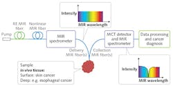 FIGURE 5. The proposed methodology for in vivo MIR spectral bioimaging (that is, MIR optical biopsy) involves a benchtop setup comprising a bright MIR supercontinuum source—a rare-earth (RE) MIR fiber laser pumping a nonlinear MIR fiber. The light is passed through a FT-MIR spectrometer and onto a patient's lesion. A passive MIR fiber collects the signal. The spectral sets acquired from the light-tissue interaction are treated statistically to yield molecular discrimination and early cancer diagnosis. FIGURE 5. The proposed methodology for in vivo MIR spectral bioimaging (that is, MIR optical biopsy) involves a benchtop setup comprising a bright MIR supercontinuum source—a rare-earth (RE) MIR fiber laser pumping a nonlinear MIR fiber. The light is passed through a FT-MIR spectrometer and onto a patient's lesion. A passive MIR fiber collects the signal. The spectral sets acquired from the light-tissue interaction are treated statistically to yield molecular discrimination and early cancer diagnosis.