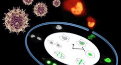 Content Dam Bow En Articles 2016 02 Confocal Microscopy Method Discovers How Stress Wakes Up Sleeping Herpes Viruses Leftcolumn Article Thumbnailimage File Content Dam Bow En Articles 2016 02 Confocal Microscopy Method Discovers How Stress Wakes Up Sleeping Herpes Viruses Leftcolumn Article Thumbnailimage File