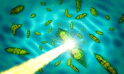 Content Dam Bow Online Articles 2016 02 Xraylaser 2 Web Content Dam Bow Online Articles 2016 02 Xraylaser 2 Web