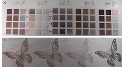 FIGURE 1. Precise control over peak power, marking speed, and number of pulses allows for color laser annealing (printing) on stainless steel with immense detail. Examples show a number of obtainable colors (a) and the high printed quality of a complex pattern (b).