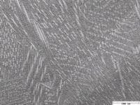 Fig6c Web2 Fig6c Web2