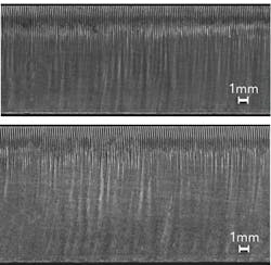1603ils Sam F4 1603ils Sam F4
