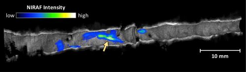 Content Dam Bow Online Articles 2016 03 110485 Web2