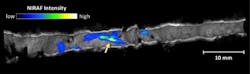 Content Dam Bow Online Articles 2016 03 110485 Web2 Content Dam Bow Online Articles 2016 03 110485 Web2
