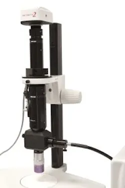 Content Dam Lfw Online Articles 2016 03 1602lfw Pro 14 Web Content Dam Lfw Online Articles 2016 03 1602lfw Pro 14 Web