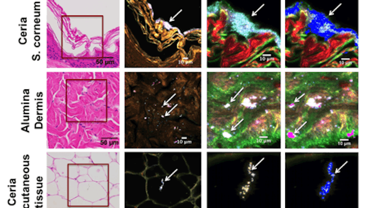 Porcine skin tissue exposed to engineered nano material (ENM)-containing solution is mapped against the reference spectral library (RSL)