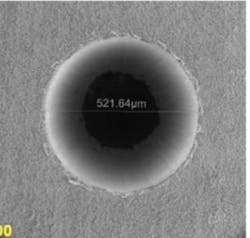 Figure 5b Web Figure 5b Web