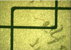 Figure 6b Web Figure 6b Web