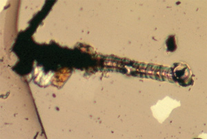 FIGURE 1. A melted groove in the surface of a diamond anvil face was caused by a focused rapidly pulsed Q-switched YAG laser beam as it was moved across the surface. The sample between the anvil faces was KBr under pressure. The pressure increases from left to right, progressing from the stability field for graphite (opaque) to the stability field for diamond (transparent). The surface of the groove at the right end is smooth and has raised edges, and the length of the groove is 160 &mu;m.