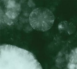 FIGURE 3. Quenched droplets of melted diamond were produced by focused Q-switched Nd:YAG laser heating of particles of diamond suspended in NaCl at pressure in the stability field of diamond. High-resolution electron micrographs (not shown) indicated a giant fullerene type layering surrounding polycrystalline interiors. The nearly perfect circular droplet in the upper portion of the image is 0.25 μm in diameter. FIGURE 3. Quenched droplets of melted diamond were produced by focused Q-switched Nd:YAG laser heating of particles of diamond suspended in NaCl at pressure in the stability field of diamond. High-resolution electron micrographs (not shown) indicated a giant fullerene type layering surrounding polycrystalline interiors. The nearly perfect circular droplet in the upper portion of the image is 0.25 μm in diameter.
