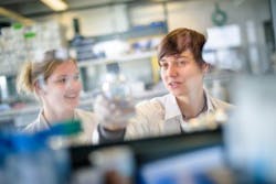 Rubin 2016 Optogenetik Abb02 Web Rubin 2016 Optogenetik Abb02 Web