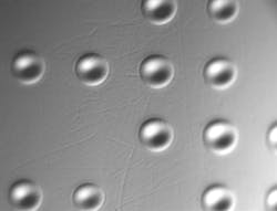 1605ils Ben 5 1605ils Ben 5