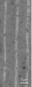 1605ils Bob F4 1605ils Bob F4