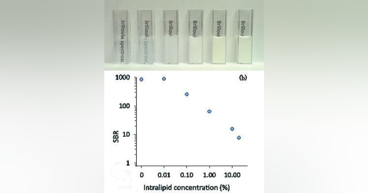 Spectroscopy method can characterize biological samples in one shot ...