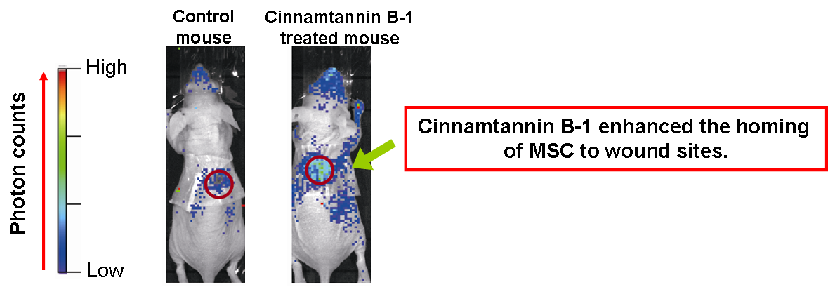Content Dam Bow Online Articles 2016 05 Cytometry1