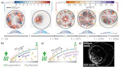 Content Dam Lfw Print Articles 2016 05 1605lfw Nb F2 Content Dam Lfw Print Articles 2016 05 1605lfw Nb F2