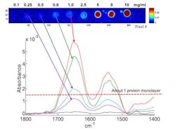 An example of single pixel spectra extracted from albumin spots obtained from 1.0, 0.8, 0.5, and 0.25 mg/mL solutions, as indicated by the arrows. The resulting concentration, on the average, in a 1 protein monolayer is indicated by the dotted line. An example of single pixel spectra extracted from albumin spots obtained from 1.0, 0.8, 0.5, and 0.25 mg/mL solutions, as indicated by the arrows. The resulting concentration, on the average, in a 1 protein monolayer is indicated by the dotted line.