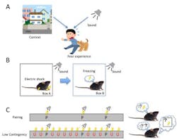 Content Dam Bow Online Articles 2016 06 Fig2web V2 Content Dam Bow Online Articles 2016 06 Fig2web V2