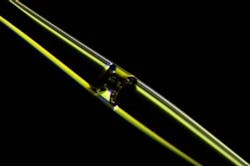 Content Dam Bow Online Articles 2016 06 New Photonic Sensor Paves Way For High Speed Biodetection Web Content Dam Bow Online Articles 2016 06 New Photonic Sensor Paves Way For High Speed Biodetection Web