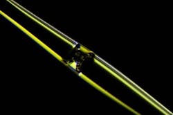 Content Dam Bow Online Articles 2016 06 New Photonic Sensor Paves Way For High Speed Biodetection Web Content Dam Bow Online Articles 2016 06 New Photonic Sensor Paves Way For High Speed Biodetection Web