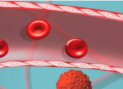 Content Dam Bow Online Articles 2016 07 Stemcells