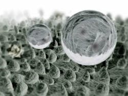 Content Dam Ils En Articles 2016 07 Lotus Leaf Inspires Laser Texturing Method For Creating Self Cleaning Metals Leftcolumn Article Thumbnailimage File Content Dam Ils En Articles 2016 07 Lotus Leaf Inspires Laser Texturing Method For Creating Self Cleaning Metals Leftcolumn Article Thumbnailimage File