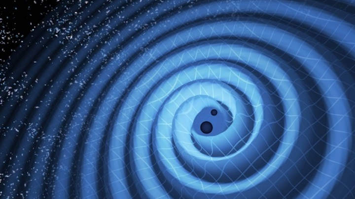 This illustration shows the merger of two black holes and the gravitational waves that ripple outward as the black holes spiral toward each other. The black holes--that represent those detected by LIGO on December 26, 2015--were 14 and 8 times the mass of the sun, until they merged, forming a single black hole 21 times the mass of the sun. In reality, the area near the black holes would appear highly warped, and the gravitational waves would be too small to see. (Image credit: T. Pyle/LIGO)