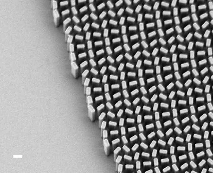Metamaterial lenses or metalenses have been prepared at visible-light wavelengths using titanium-dioxide rectangular pillar structures. (Image credit: Harvard University and University of Waterloo)