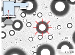 Aqueous microdroplets located on a superhydrophobic surface are placed in a chamber with a fixed relative humidity. Aqueous microdroplets located on a superhydrophobic surface are placed in a chamber with a fixed relative humidity.