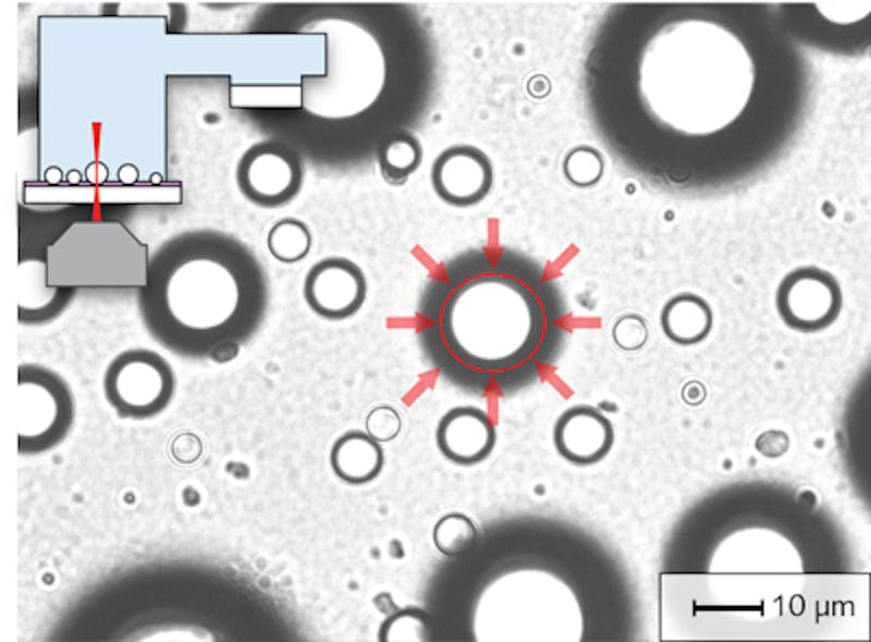 Aqueous microdroplets located on a superhydrophobic surface are placed in a chamber with a fixed relative humidity.