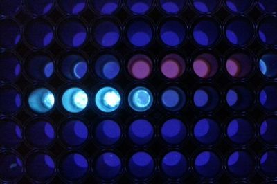 Content Dam Bow Online Articles 2016 08 Assay Dk 2016 Mid Web