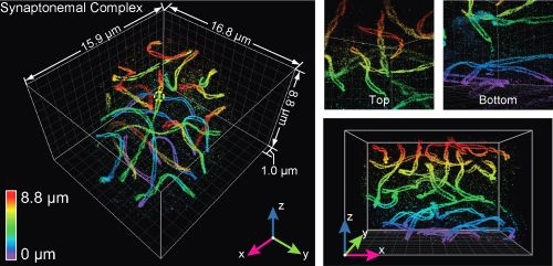 Content Dam Bow Online Articles 2016 08 Huang Cell Web