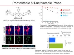 Content Dam Bow Online Articles 2016 08 Image 2 Web Content Dam Bow Online Articles 2016 08 Image 2 Web