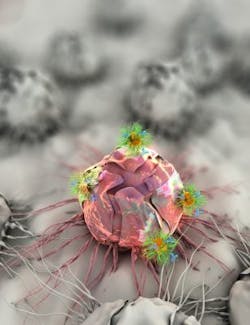 Content Dam Bow Online Articles 2016 08 Mit Triple Patch Press Web Content Dam Bow Online Articles 2016 08 Mit Triple Patch Press Web