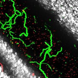 Content Dam Bow Online Articles 2016 08 Photo Emre Web Content Dam Bow Online Articles 2016 08 Photo Emre Web