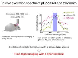 Image 1 Web Image 1 Web