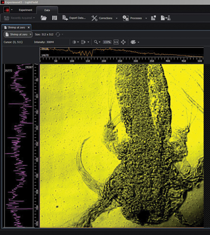 FIGURE 4. A zero-order image of a shrimp was taken using Princeton Instruments' IsoPlane 160 spectrograph and ProEM-HS 512BX EMCCD camera. The image is a screenshot from the company's LightField software. The IsoPlane-160 itself is shown in a different configuration (bottom) with a PIXIS CCD camera instead of the EMCCD.