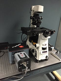 1609lfw Wal 4 Ins 1609lfw Wal 4 Ins