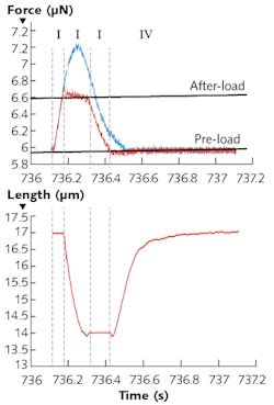 FIGURE 1. Use of the IonOptix OptiForce transducer allows stable force measurements in the nN-&mu;N range with very fast response times. By clamping the diastolic and systolic force levels, the user can mimic the four phases (I-IV) of the cardiac cycle at the single cell level.