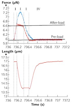 FIGURE 1. Use of the IonOptix OptiForce transducer allows stable force measurements in the nN-μN range with very fast response times. By clamping the diastolic and systolic force levels, the user can mimic the four phases (I-IV) of the cardiac cycle at the single cell level. FIGURE 1. Use of the IonOptix OptiForce transducer allows stable force measurements in the nN-μN range with very fast response times. By clamping the diastolic and systolic force levels, the user can mimic the four phases (I-IV) of the cardiac cycle at the single cell level.