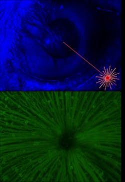 Content Dam Bow Online Articles 2016 09 122741 Web2 Content Dam Bow Online Articles 2016 09 122741 Web2