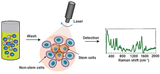 Content Dam Bow Online Articles 2016 09 Sers Schematic