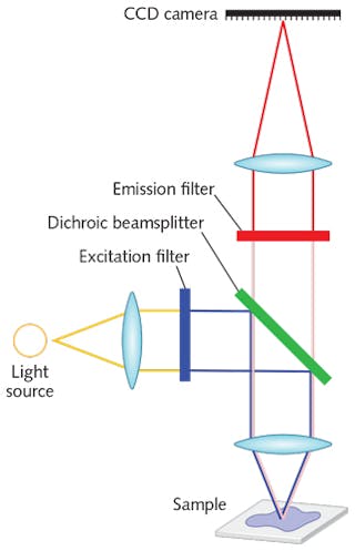 Figure 3 from Stimulated Emission Depletion (STED) Microscopy: from Theory  to Practice